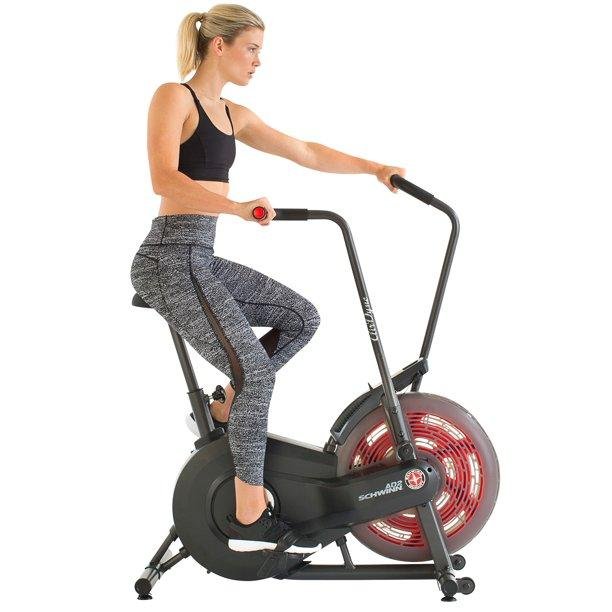 Schwinn AD2 Airdyne Bike