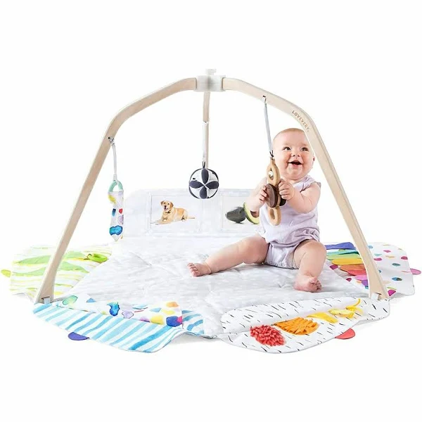 The Play Gym By Lovevery | Stage-based Developmental Activity Gym &