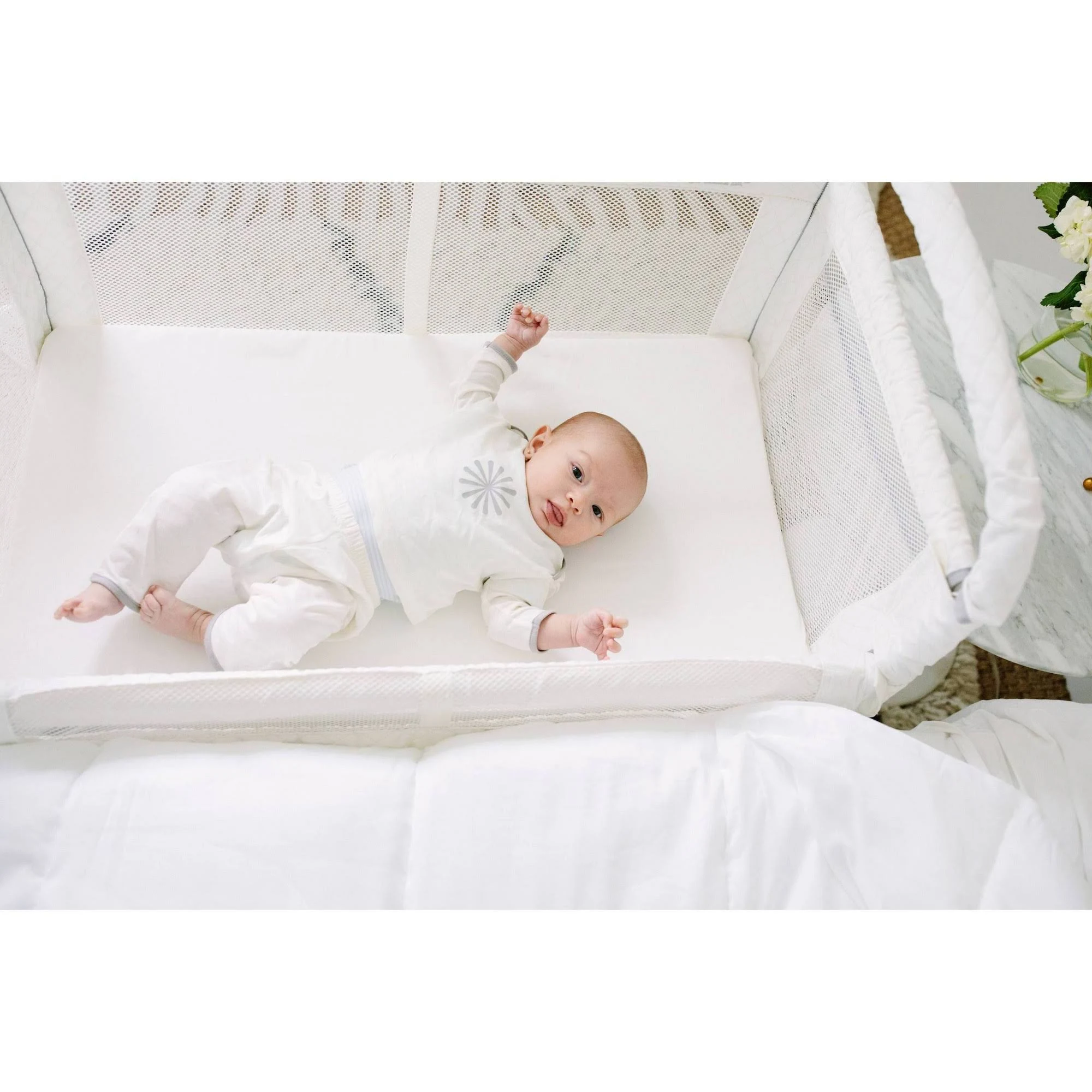 Arm&s Reach Clear-Vue Co-Sleeper Bassinet ¨C White