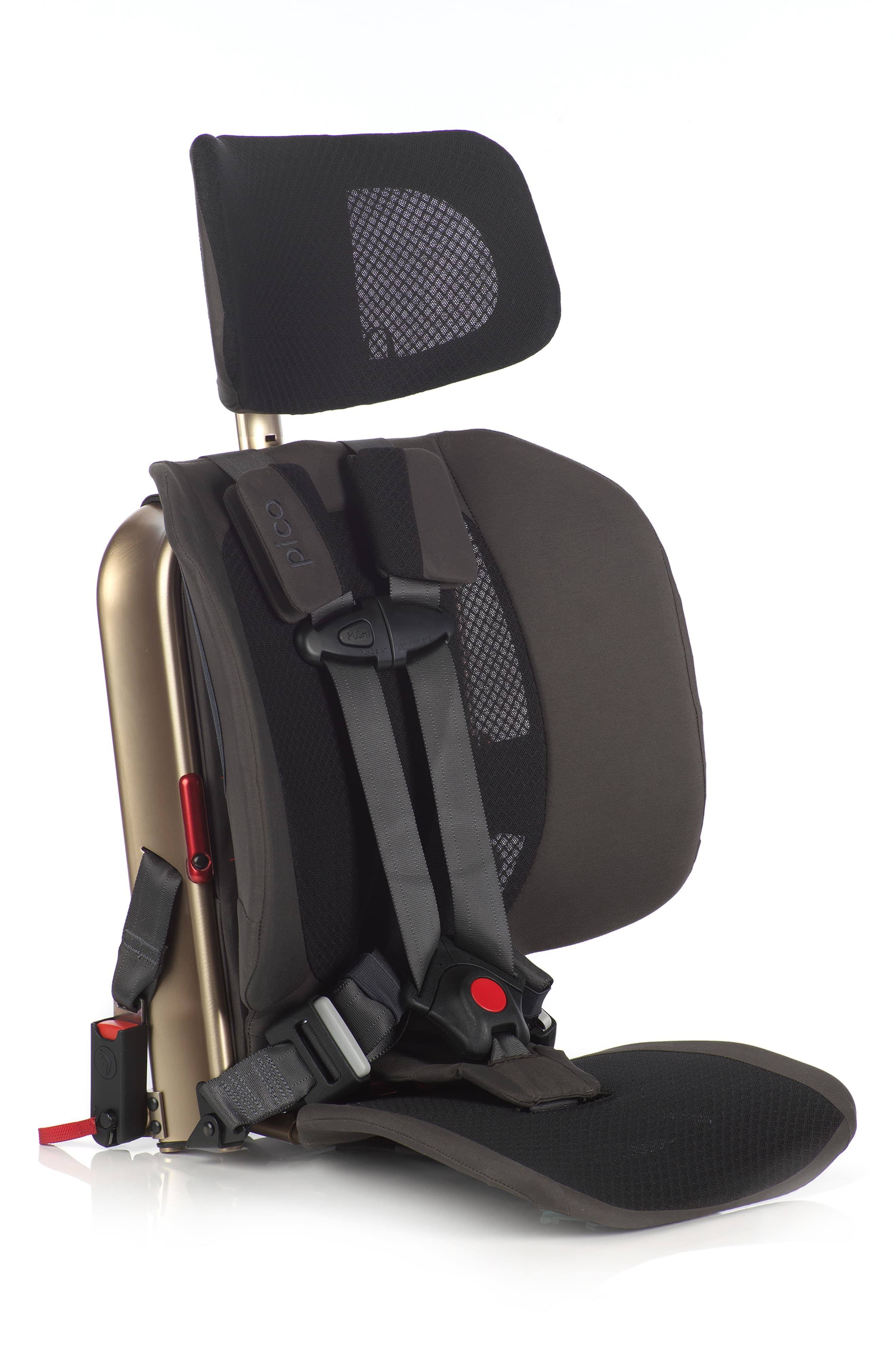 WAYB Pico Car Seat Earth